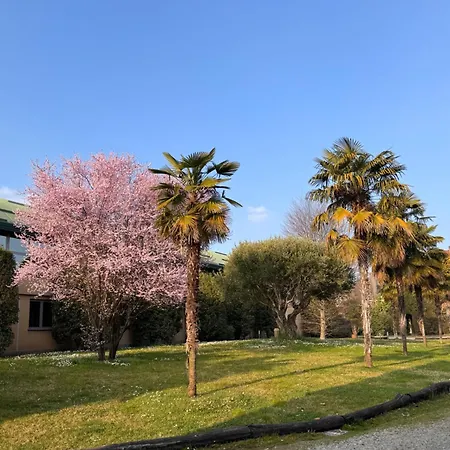 Parco Hotel Sassi-2