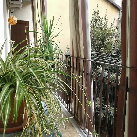 Viktoria B&B-3